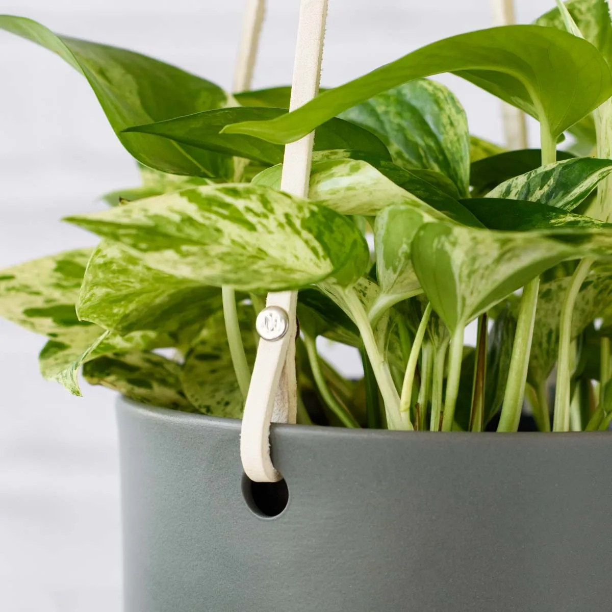 Emerson Leather Matte Hanging Pot
