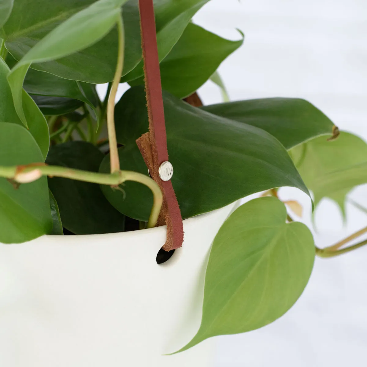 Emerson Leather Matte Hanging Pot