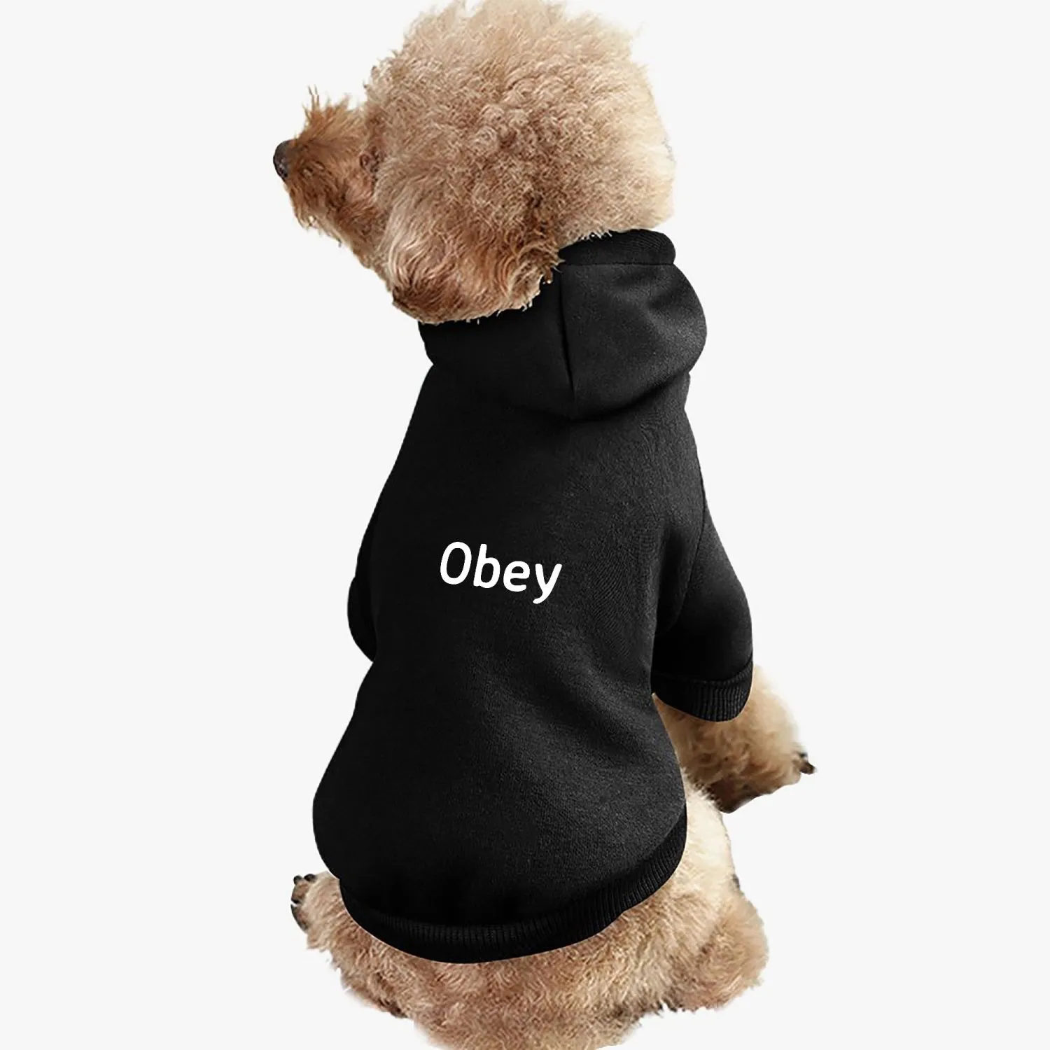 Pet Hooded Suit - "Obey"